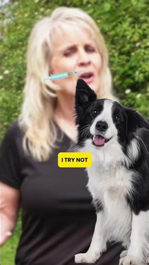 What Is a Titer Test for Dogs?