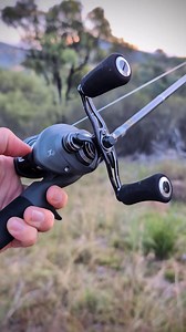 Exploring Murray cod country is about more than just catching fish, but you can be confident of landing the biggest of cod with an Okuma Komodo baitcast reel in your hand. Jacob Iedema exploring gorge country and getting some bites. Fish on! 🎥 @jako_fish_seq Power, precision, performance... if you want to stop them, this is the reel. Okuma Komodo features stainless steel main gear, pinion gear, drive and spool shafts, Precision Japanese ABEC-5 spool bearings, Multi-disc high output Carbonite dr