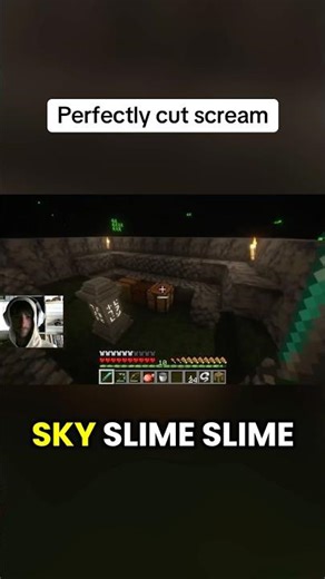 Perfectly cut Minecraft scream