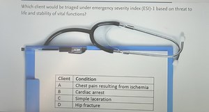 Which client would be triaged under emergency severity index (E... | Filo
