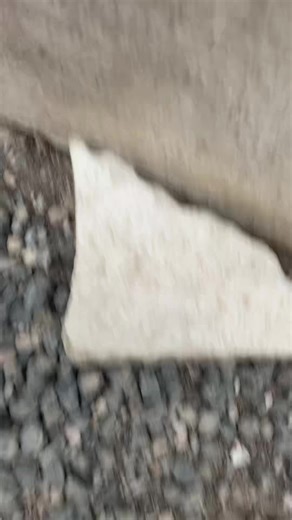 Invincible vs vegeta