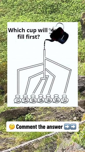 Live Puzzles on TikTok