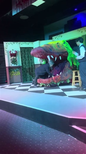 Little Shop Of Horrors Dress Rehearsal (9/14/2026) - Audrey II Chops Down On Mushnik