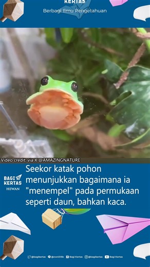 162K views · 3.8K reactions | Ini bukan sihir, ini sains! Inilah...
