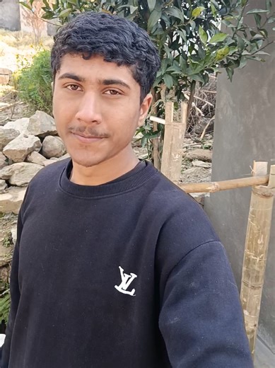 Complete Your Home Gym Setup for Effective Workouts