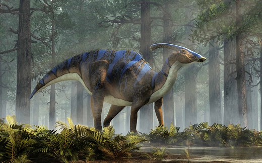 Meet the Parasaurolophus — The Dinosaur With a Crest on Its Head