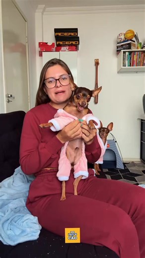 Porquinhos raivosos🐕 @cookieenog #petscao #AmorDePet #PetsFofos #VidaDeCachorro #MundoFelino #SaúdePet #PetsInfluencers #HistóriasDePets #PetLovers #DicasParaPets #PetFashion #DiárioDoPet #pinscher #viral #viralpage #viralreelsn | Pet'scão