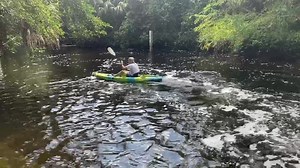 14 reactions · 4 comments | WHAT’S UP WEDNESDAY! WATER IS STILL HIGH...