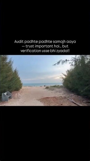 Professional skepticism is most important!👀 . . . . . . . #fyp #charteredaccountant #castudents