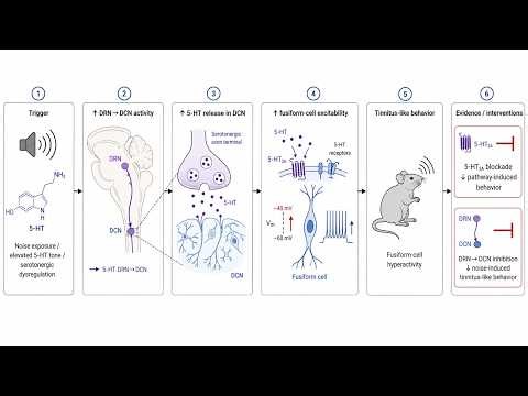 The Serotonin-Tinnitus Link Is No Longer Just Anecdotal