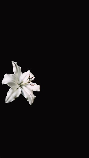 #fyp #TikTok #lyrics Jealous - Nick Jonas