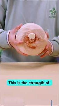 Mind-Blowing Science Experiments You Were Never Taught in School #ScienceExperiments#RealScience
