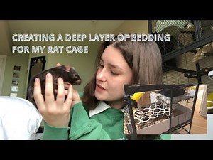 Creating a deep layer of bedding for my rat cage