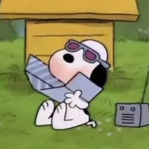 snoopysnoopsnoopp - Twitch