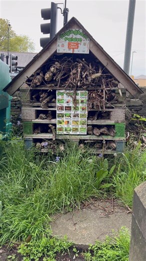 Bugingham Palace! The bug house at my local church