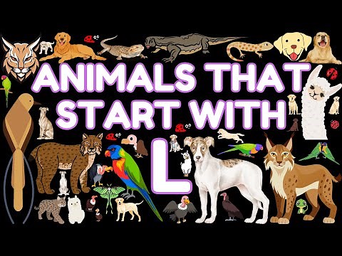 38 Animals That Start With The Letter L | Learn Animal Names | Eager Minds Academy