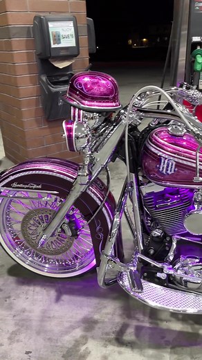 Custom Painted Heritage Softail and Street Glide Vicla