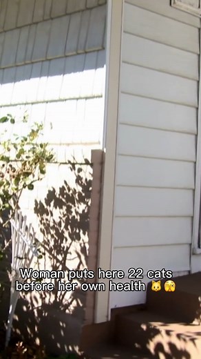 31K views · 368 reactions | Cat lover Debbie now owns 22 cats and keeps collecting them despite her serious cat allergies! | Love Reality | Facebook