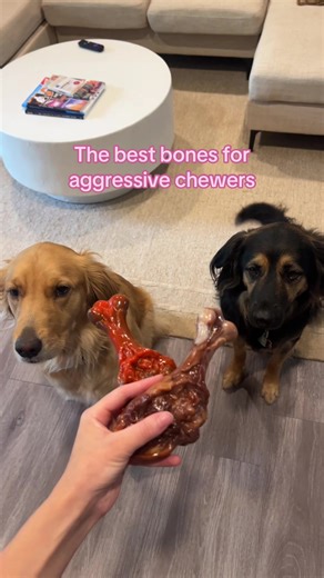 Elizabeth ♡ on TikTok