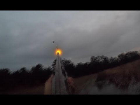 LIMITED OUT- Impoundment Duck Hunting Hobucken, NC