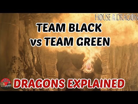 Team Black vs Team Green Dragons Explained |HOTD| "House of the Dragon"