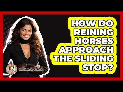 How Do **reining** Horses Approach The Sliding Stop? - The Horses Stable
