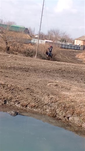 Nahayet (@03_07_20120)’s videos with orijinal ses - Kemalsunalffan