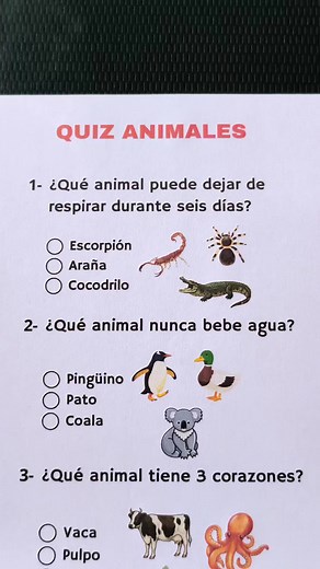 Animal Quiz: Test Your Knowledge of Animals