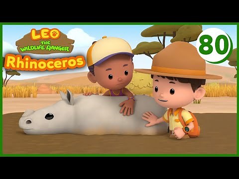 The Southern White Rhinoceros - Leo The Wildlife Ranger (Episode 80)