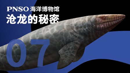 id_XNTkxMzc1MDY0OA==.html