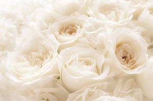 What Does It Mean To Be Blameless?