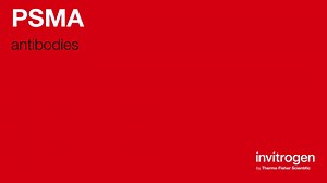 PSMA antibodies from Thermo Fisher Scientific