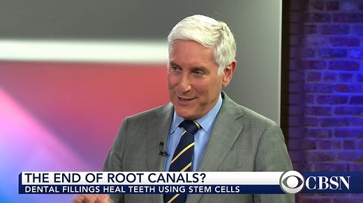 Stem Cells For Teeth?