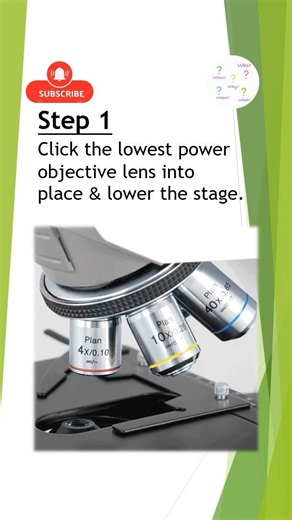 Step by step guide - How to use a Light Microscope
