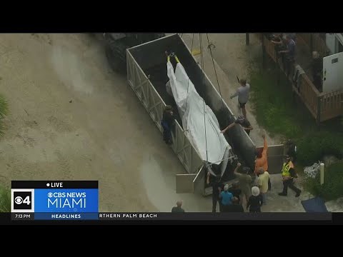 Lolita the killer whale dies after 5 decades of captivity