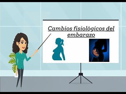 Embarazo: Cambios fisiológicos producidos en el Embarazo