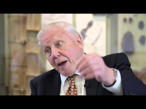 David Attenborough on religion and evolution coexisting