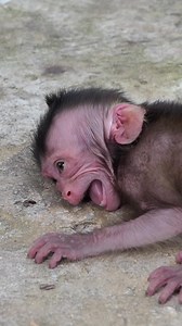 217K views · 3.2K reactions | Newborn baby... | 99TH | Facebook