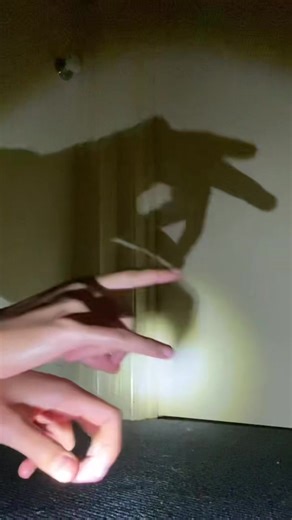 Rabbit and Wolf Shadow Puppets Trend