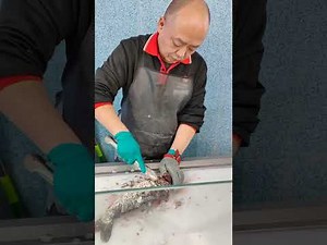 “Real China Market Tour: Live Fish, Giant Snails, and Weird Seafood!”