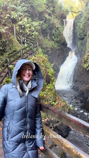 Золотой Лес ✨ Северная Ирландия