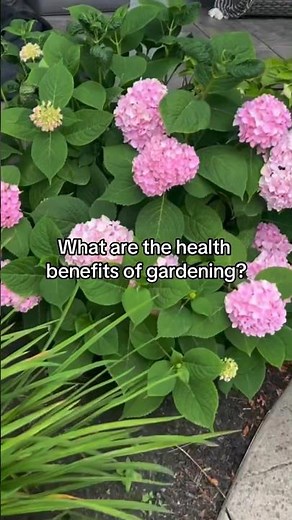 Health benefits of gardening. 👩‍🌾👨‍🌾