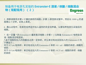 电转染（entranster）实验步骤之电转复合物配制（2）