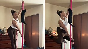 Acrobatic cat shows off pole dancing skills with owner