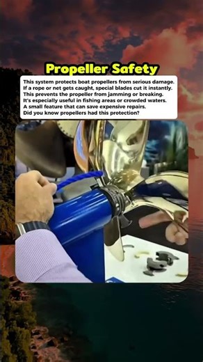 The System That Protects Boat Propellers #curiosity #mistery