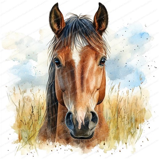 Aquarelle cheval gros plan | Illustration équestre (numérique) - Etsy France