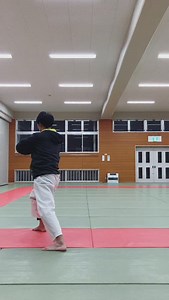 ⭐︎Using hip!! Let’s practice and have fun doing karate with me all over the world 🌎 ☆☆☆橋本憲治☆☆☆ ・全日本空手道連盟 公認六段 ・全国審判員 ・元エルサルバドル代表コーチ ・ヨーロッパマスターズカップ (ドイツ大会) 形 優勝 組手3位 ・国民体育大会 (山口大会) 団体組手 準優勝 ・などなど形、組手ともに優勝、入賞多数🥇🥈🥉 #karate #空手 #武文塾 #shotokan #wkf | Kenji Hashimoto
