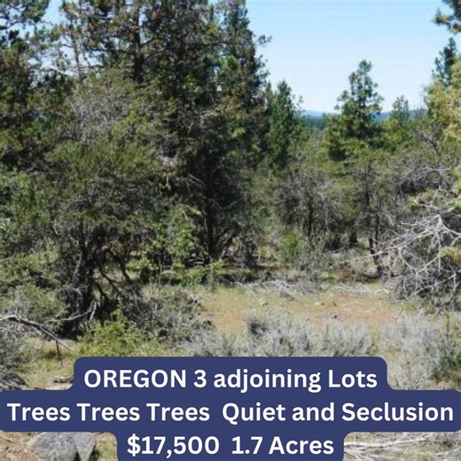 OREGON -3 adjoining Residential Lots * buy 1 or all 3 * Trees * mobiles allowed Type: Land, Residential, Recreational Location: Tanger, Bonanza, Klamath County, Oregon Subdivision: Klamath Falls Forest Estates, Unit 4 Block/Lots: Block 127, Lots 18, 19, 20 Total Acreage: 1.7 acres (individual lots: 1.76, 1.44, 1.58 acres) Price: $17,500 per lot or $50,000 for all three Owner Financing: Available! more details: https://www.landresellers.com/properties/3-adjoining-residential-lots-buy-1-or-all-3-t