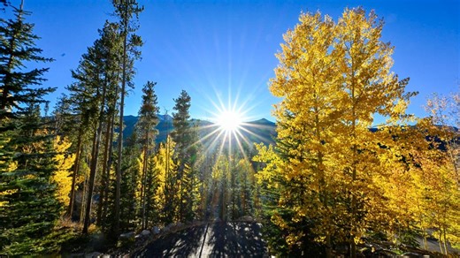 'Leaf Brief': Colorado town provides real-time updates on fall leaves