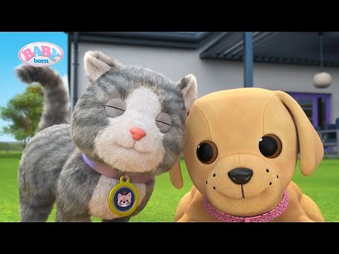Lucky findet Kätzchen Cookie 🐶🐱 | Staffel 3 Folge 1 | BABY born Serie Deutsch